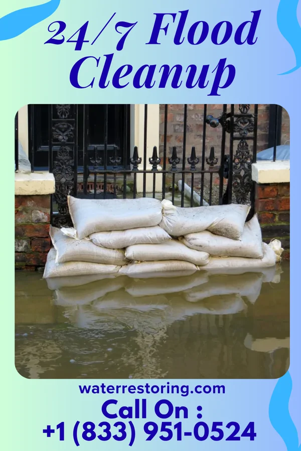 24/7 Flood Cleanup in Forestville, MD
