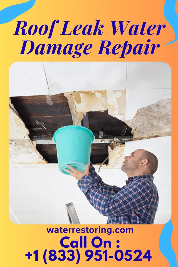 Roof Leak Water Damage Repair in Forestville, MD
