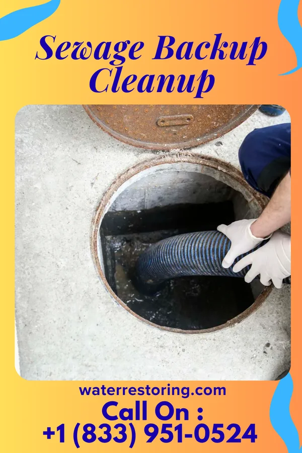Sewage Backup Cleanup in Forestville, MD