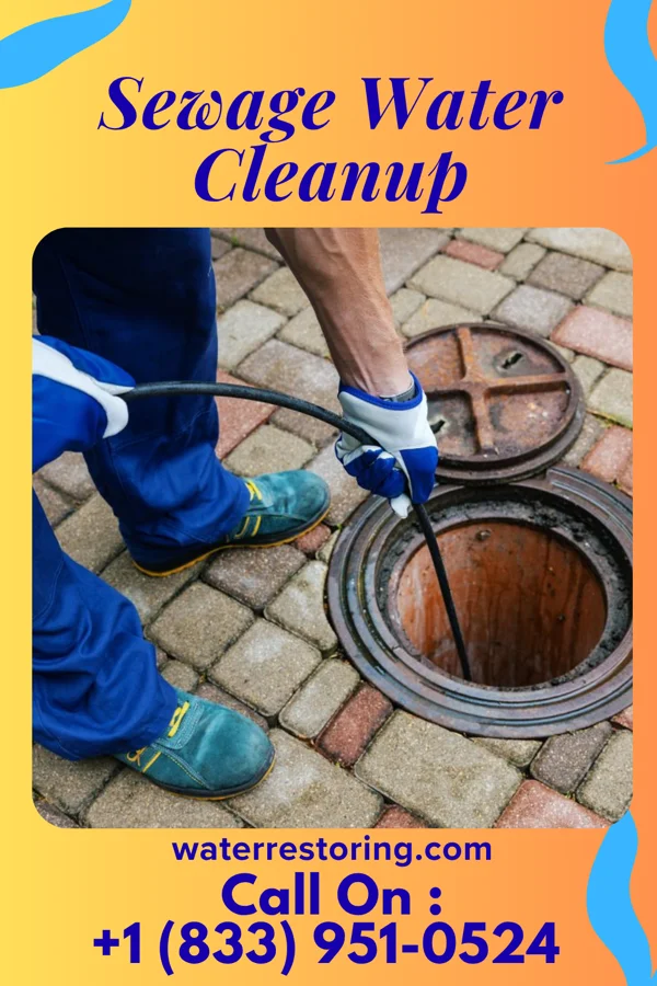 Sewage Water Cleanup in Forestville, MD