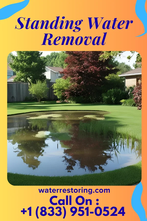 Standing Water Removal in Forestville, MD